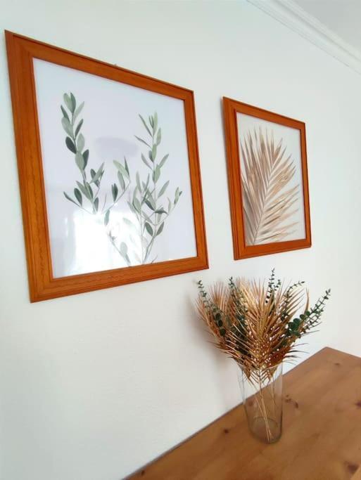 ChoVivienda Con Piscina, Solarium, Vistas Teide公寓 外观 照片